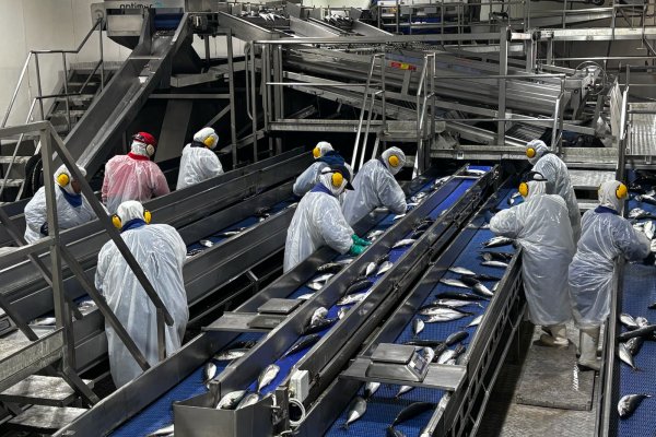 FoodCorp se suma a ofensiva judicial de pesqueras y anuncia demanda contra el Estado que supera los US$ 100 millones