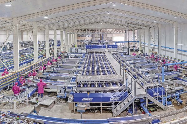 La batalla que viene: 16 mil grandes empresas se beneficiarían con la integración del sistema tributario