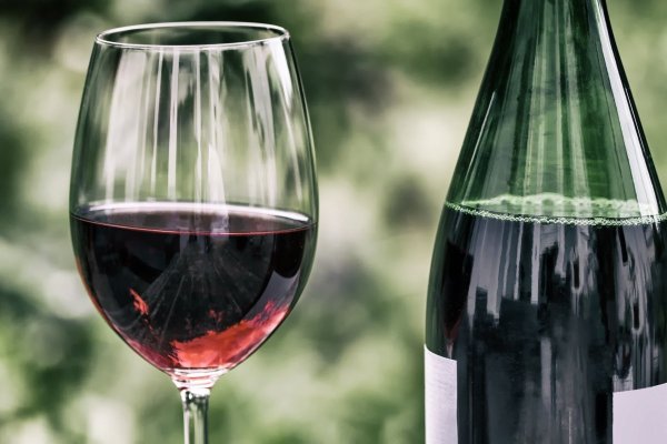 <p>Año amargo para el vino chileno: exportaciones retroceden y la industria entra en modo ajuste</p>