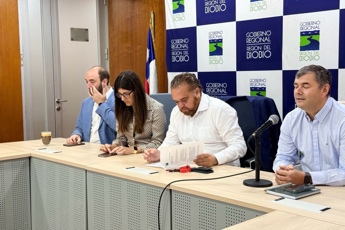 <p>Gremios y Gobierno crean fondo para financiar IVA y copagos de más de 400 emprendedores afectados por incendios en Biobío</p>