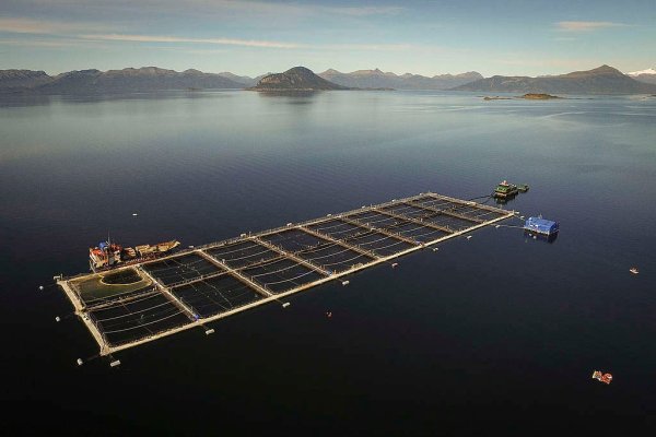 Por falta de quorum suspenden reunión entre salmoneros y alcaldes del Llanquihue que piden salida de la industria de aguas del lago