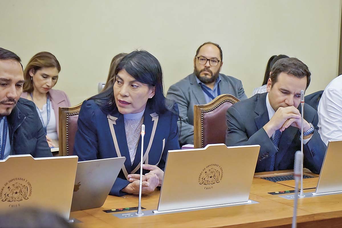<p>La ministra de Ciencia, Ximena Lincolao, en la Comisión Futuro de la Cámara de Diputados. </p>