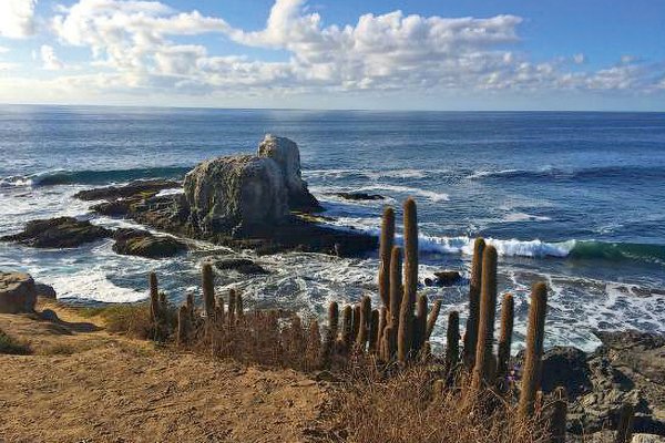 El robo de vale vista que sufrió en Pichilemu uno de los hijos de José Luis del Río