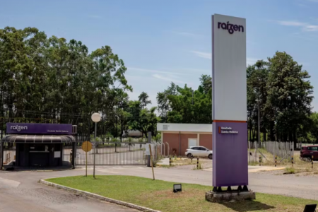 Raizen estaría buscando convertir el 45% de su deuda en acciones