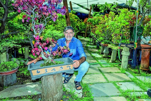 El bosque de 9.000 bonsáis que se esconde en una casa de Las Condes