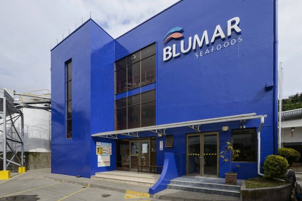 La factura de McKinsey en los resultados de Blumar