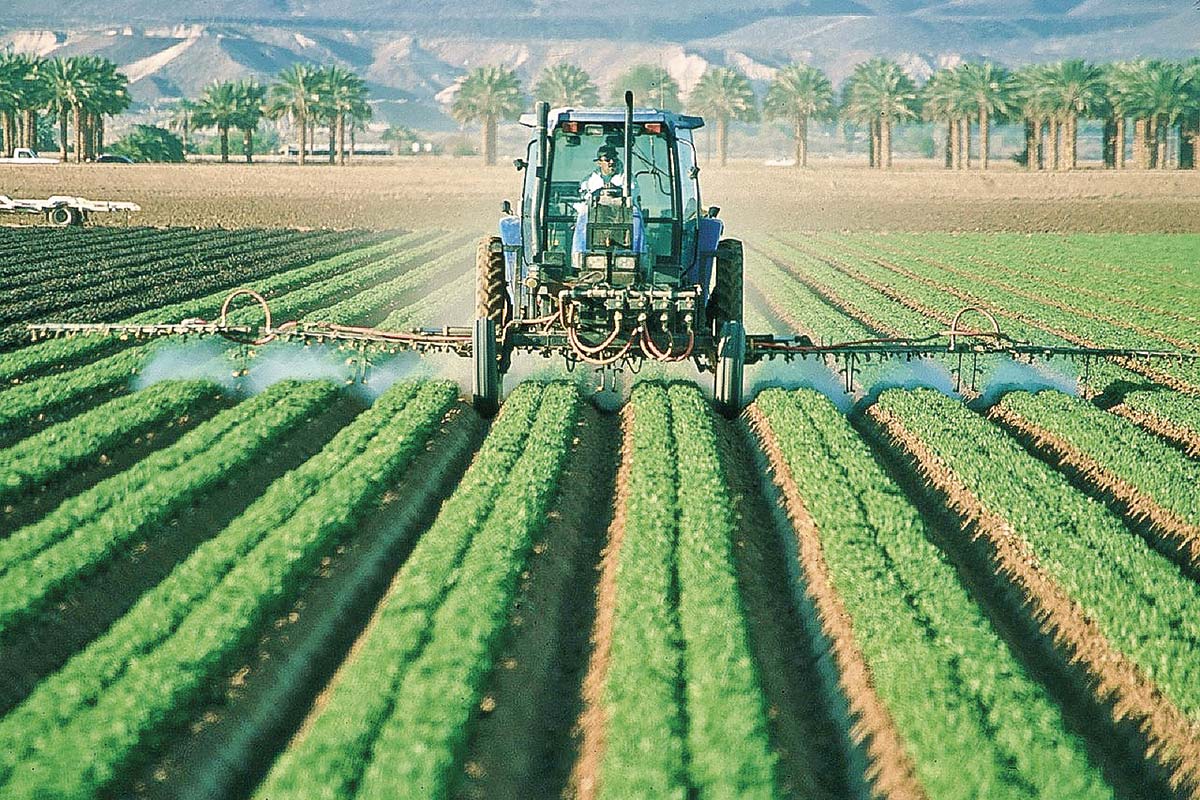 <p>Guerra tensiona precio de fertilizantes y efectos podrían sentirse en los cultivos del país en otoño-invierno</p>