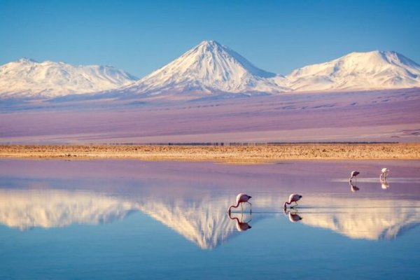 Desierto de Atacama es nominado a los World Travel Awards 2026 como mejor destino aventura y mejor destino romántico de Sudamérica