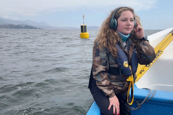 Cómo Acústica Marina pasó de monitorear ruido marino a transformarse en una plataforma de inteligencia oceánica