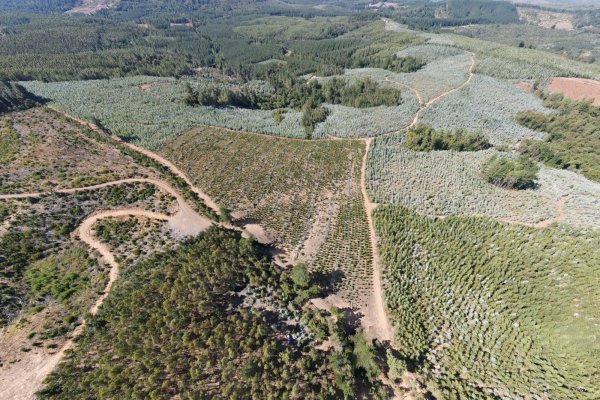 Proyecto de tierras raras de Chilean Cobalt en Biobío pasa a prefactibilidad y proyecta primera producción para 2027