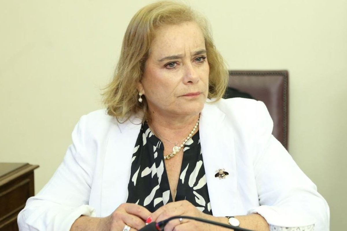 <p>Flor Weisse (UDI) alerta por el ‘fuego amigo’ ante eventual ingreso del proyecto misceláneo: “La única que aplaude es la izquierda”</p>