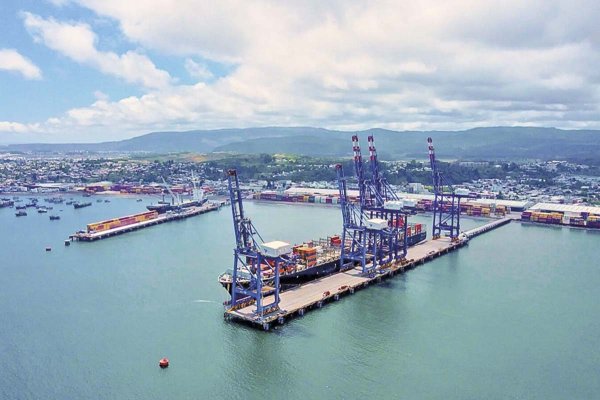 Tribunal suspende derechos de Puerto Coronel como querellante en investigación que involucra al terminal y a la municipalidad