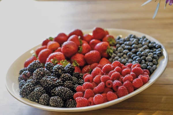 Qué es "El Niño Godzilla" y por qué tiene en alerta a los productores de berries desde el Maule hasta el Biobío