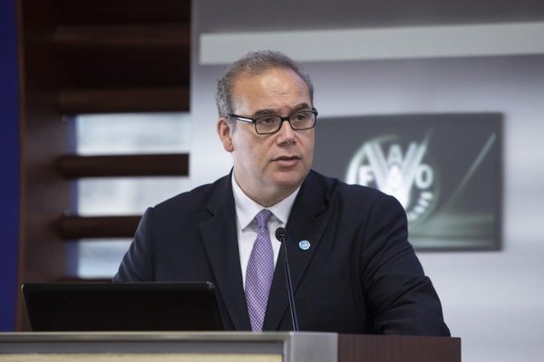 La FAO advierte que el bloqueo del estrecho de Ormuz podría provocar una crisis global de insumos agrícolas