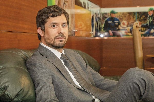 <p>Domingo Rojas, director nacional del SAG: “La mosca de la fruta nos tiene muy preocupados. Llevamos largo tiempo peleando con sus constantes brotes”</p>