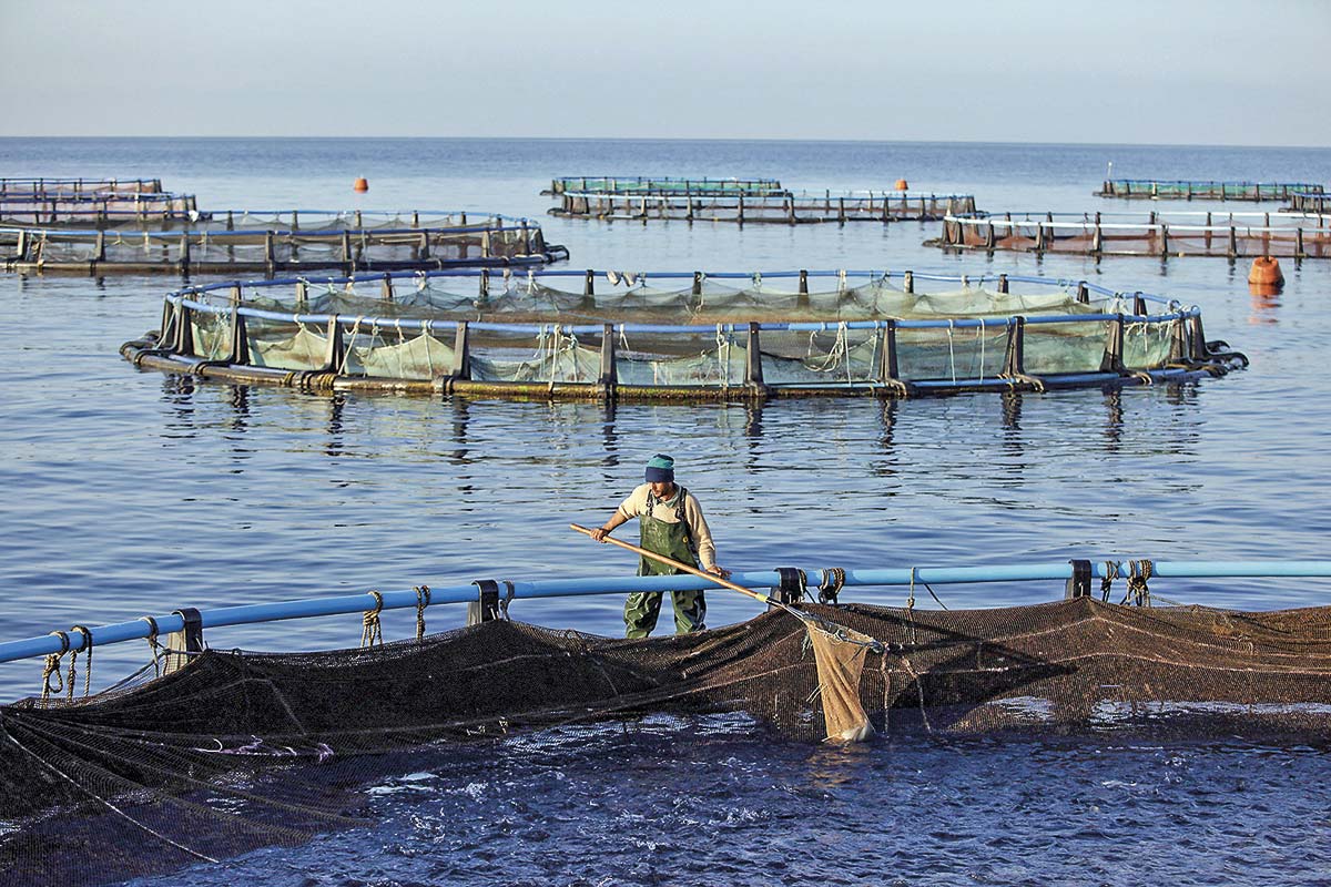 <p>Foto: Bloomberg</p>