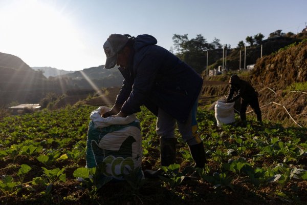 La ONU advierte que los efectos de la guerra en Medio Oriente empujarán de nuevo a la pobreza a más de 30 millones de personas