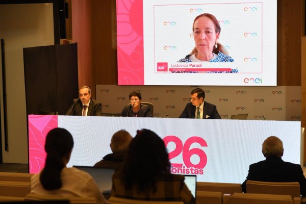 <p>Mónica Hodorceo de Enel Distribución (al centro de la testera).</p>