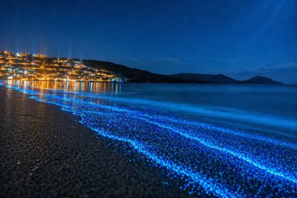 Fenómeno de bioluminiscencia marina impulsa turismo nocturno en Guanaqueros y anticipa alto flujo por fin de semana largo