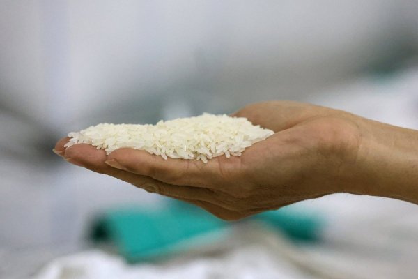 La guerra en Irán y El Niño amenazan el suministro global del alimento más consumido en el mundo