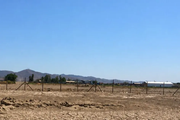 Tribunal Ambiental anula fin anticipado de evaluación de parque solar Oxum por falta de fundamentos del SEA