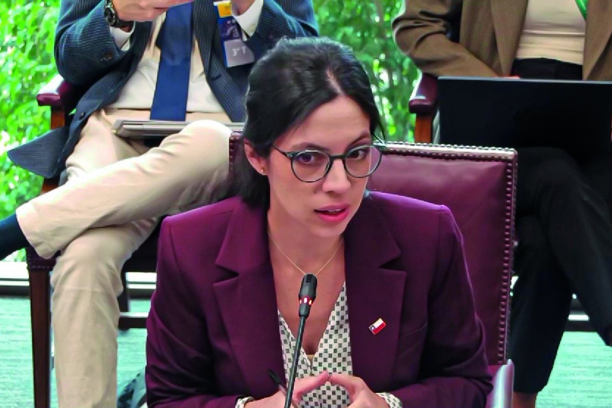 <p>La ministra del Medio Ambiente, Francisca Toledo, asistió a la comisión de Medio Ambiente del Senado.</p>
