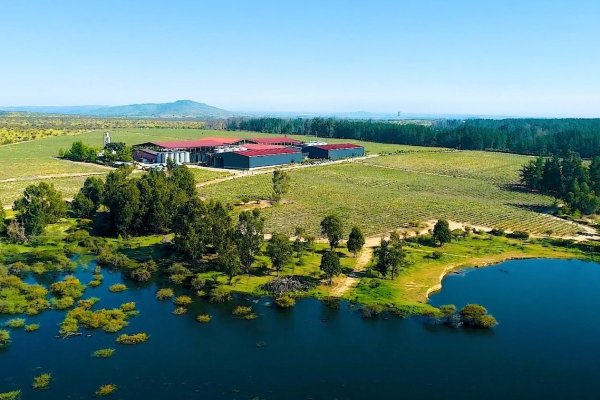 La apuesta de US$ 32 millones de la viña que fundó Fra Fra