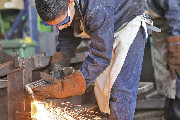 La confianza se consolida como pilar del desempeño laboral