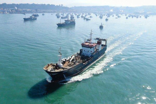 Industriales advierten baja significativa en pesca del jurel: sólo 28% de la cuota ha sido capturada y escenario amenaza operaciones en plantas del Biobío
