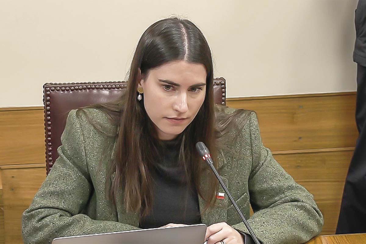 <p>La subsecretaria de Previsión Social, Elisa Cabezón. </p>
