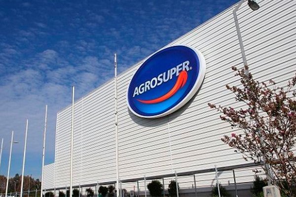 <p>Agrosuper parte el año con resultados estables mientras descarta mayores efectos por gripe aviar</p>