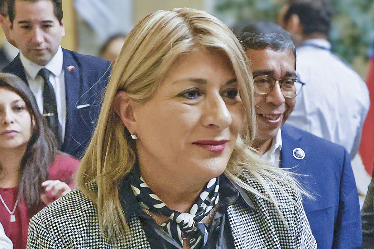 <p>"Ningún gobierno debiese mantener un impuesto tan canalla como el del IVA a los medicamentos, porque nadie elige enfermarse", declaró también la parlamentaria. Foto: Aton</p>