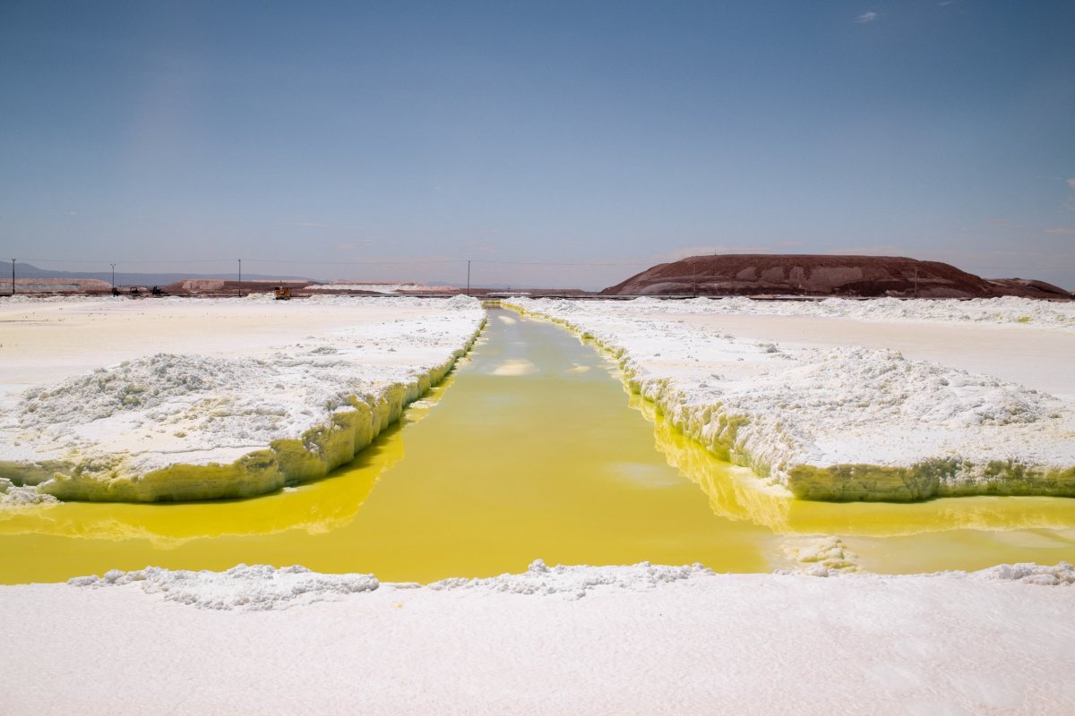 <p>Foto: Bloomberg.</p>