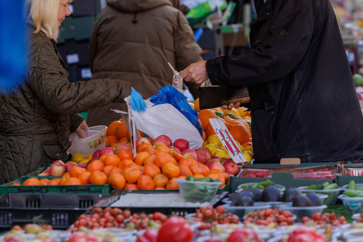 <p>FAO advierte "crisis agroalimentaria" por cierre del estrecho de Ormuz</p>
