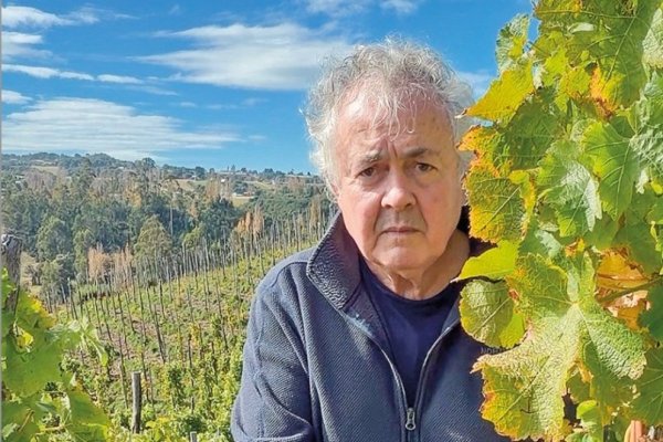 El francés que invirtió US$ 3 millones y armó una de las primeras viñas en Chiloé: “Fui un poco como el Pedro de Valdivia del vino”
