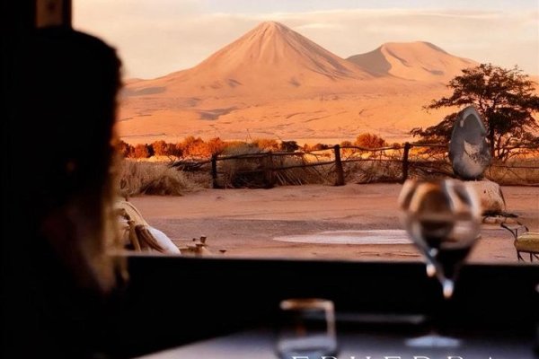 Carne de llama en vez de vacuno: el único restaurante de alta cocina del norte con una carta completamente nativa del desierto y el altiplano