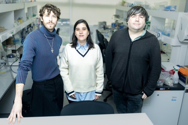 El difícil camino de beetechnology, la biotech que partió salvando abejas y hoy alarga la vida útil de la carne