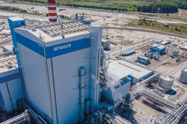 Empresa forestal Arauco desvincularía a cerca de 100 trabajadores de diferentes áreas de la compañía