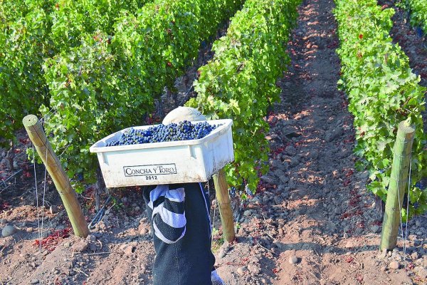 Concha y Toro demanda a EEUU por pago de aranceles de 2025