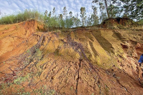 Coeva de Biobío aprueba por unanimidad el proyecto de tierras raras de minera Aclara y Grupo CAP en Penco