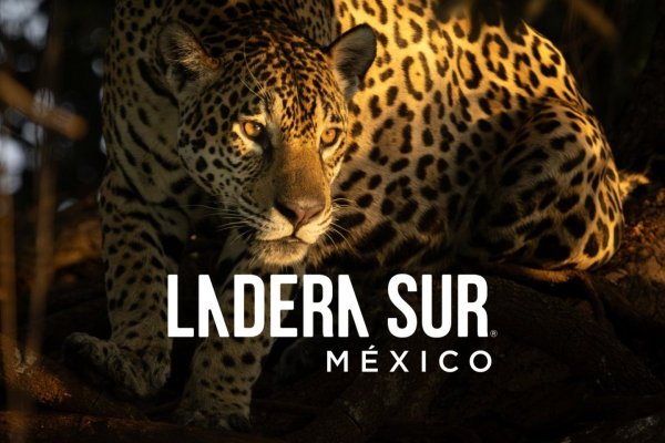 Ladera Sur desembarca en México