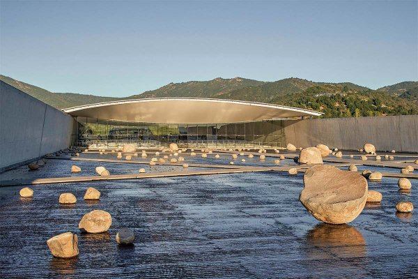 <p>¿Cómo construir una marca global desde una empresa regional? Las lecciones del éxito de Viña Vik</p>