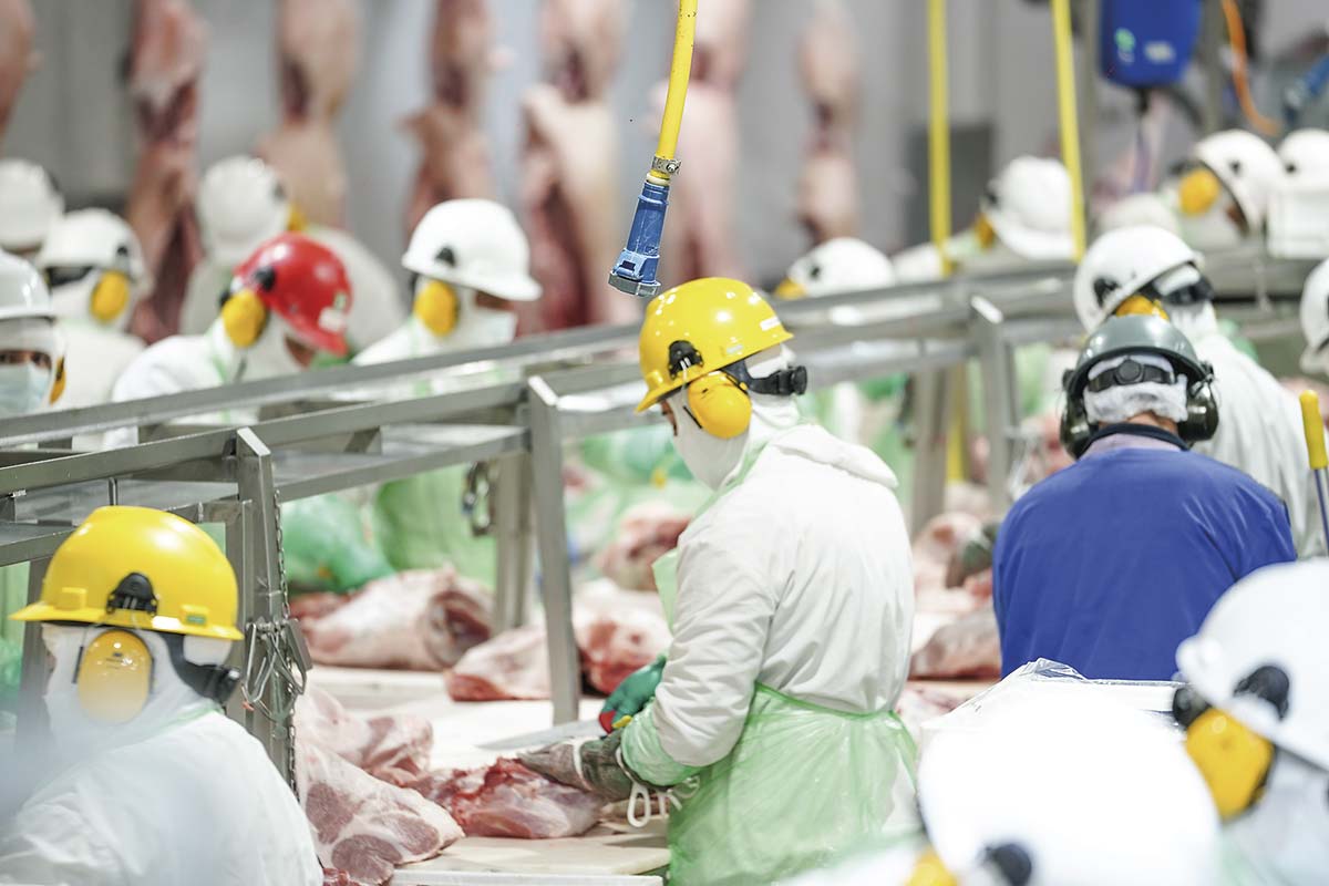 <p>Coexca y AASA acuerdan una fusión que crearía al segundo mayor productor de carne de cerdo de Chile, con 100 mil toneladas anuales</p>