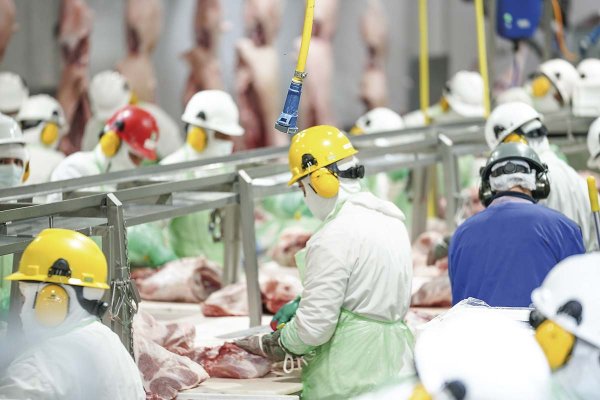 <p>Coexca y AASA acuerdan una fusión que crearía al segundo mayor productor de carne de cerdo de Chile, con 100 mil toneladas anuales</p>
