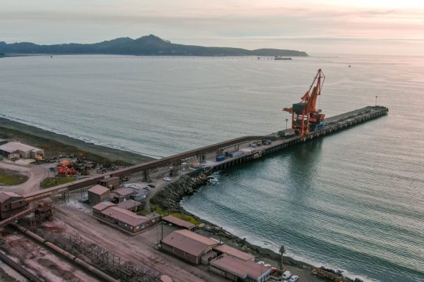 Grupo CAP busca atraer carga argentina para exportar al Asia a través de sus puertos en Atacama y Biobío