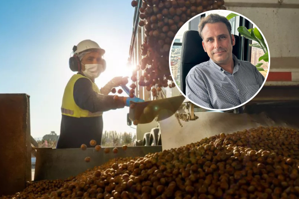 Jorge Mohr de Nefuen proyecta que "el negocio de las avellanas llegará a US$ 1.200 millones” en Chile, duplicando su facturación en la próxima década
