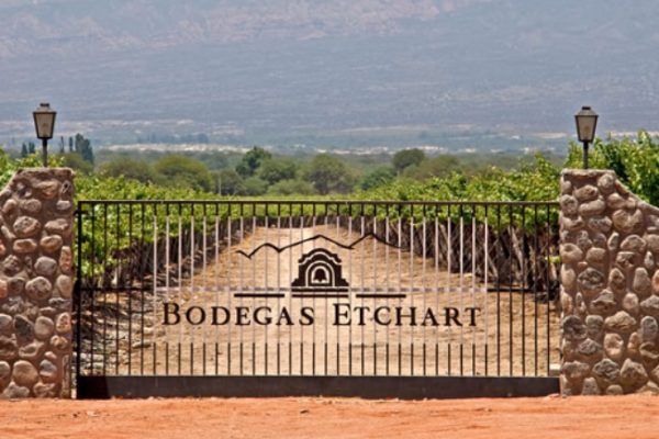 Molinos compra la última bodega que le quedaba a gigante francesa Pernod Ricard en Argentina