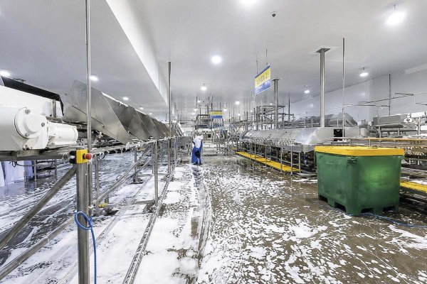 Tecnológica Kran suma a Carozzi a cartera de clientes y proyecta cerrar 2026 con crecimiento de 30%