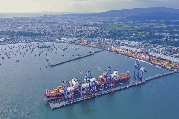 FNE inicia investigación por venta de Puerto Coronel a Neltume Ports