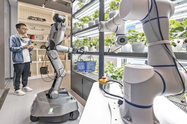 Nación robot: el intento de China por frenar su declive demográfico